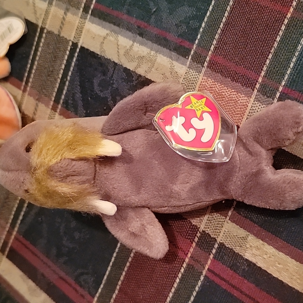 1996 jolly walrus